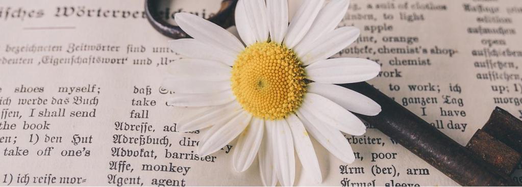 Que veut dire geek ?